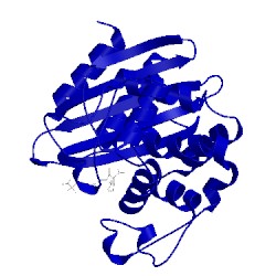 Image of CATH 5twe