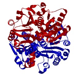 Image of CATH 5tx7