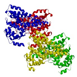 Image of CATH 5tzc