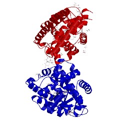 Image of CATH 5u3t