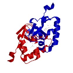 Image of CATH 5ubd