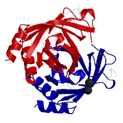 Image of CATH 5uc0