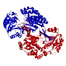 Image of CATH 5ucd