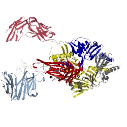 Image of CATH 5udc