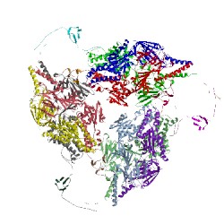 Image of CATH 5udd