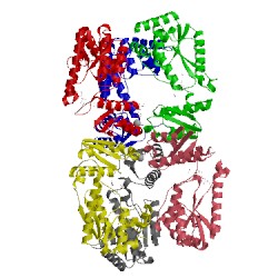 Image of CATH 5udr