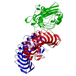 Image of CATH 5ufc