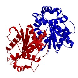 Image of CATH 5ugz