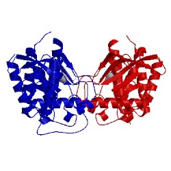 Image of CATH 5uhn