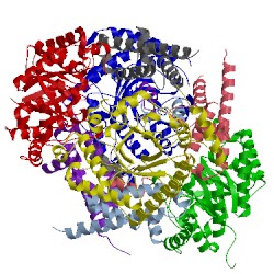 Image of CATH 5uhp