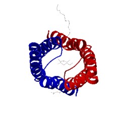 Image of CATH 5uhs