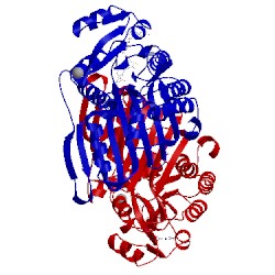 Image of CATH 5uia