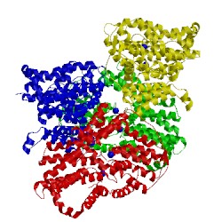 Image of CATH 5uld