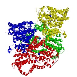 Image of CATH 5ule