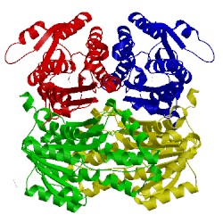 Image of CATH 5unl