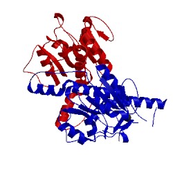 Image of CATH 5unn