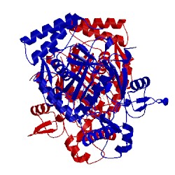 Image of CATH 5uo1