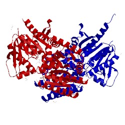 Image of CATH 5uof