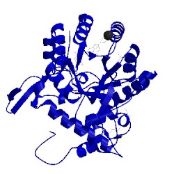 Image of CATH 5upy