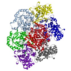 Image of CATH 5uqg