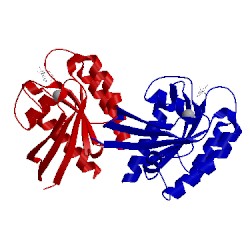 Image of CATH 5uqw