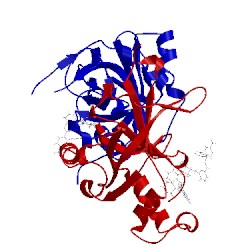 Image of CATH 5ur3