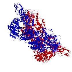 Image of CATH 5urm