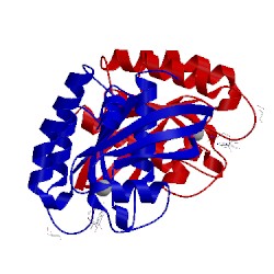 Image of CATH 5us4