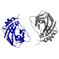 Image of CATH 5usl