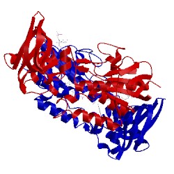 Image of CATH 5usx