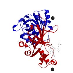 Image of CATH 5utn