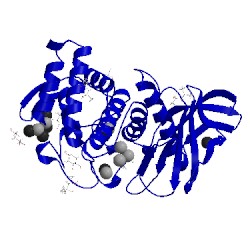 Image of CATH 5uub
