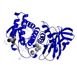 Image of CATH 5uub