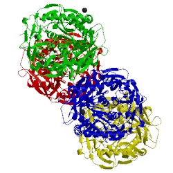 Image of CATH 5uw6