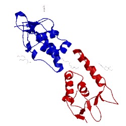 Image of CATH 5uwg