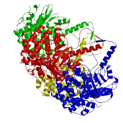 Image of CATH 5uyz