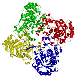 Image of CATH 5uzc