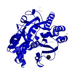Image of CATH 5uzh