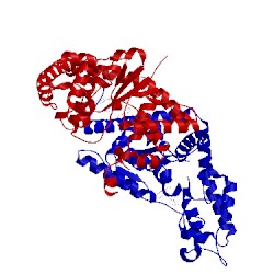 Image of CATH 5v0i