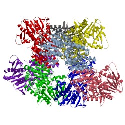 Image of CATH 5v0t