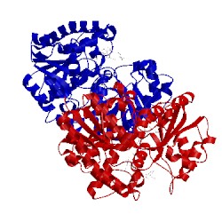 Image of CATH 5v2j