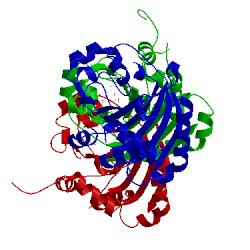 Image of CATH 5v44
