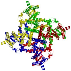 Image of CATH 5v4s