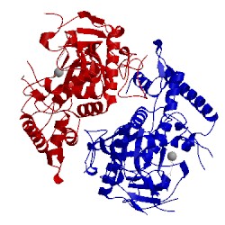 Image of CATH 5v8p