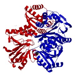 Image of CATH 5v8s