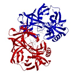 Image of CATH 5v8v