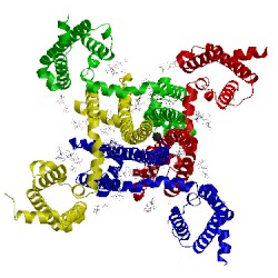 Image of CATH 5vb2