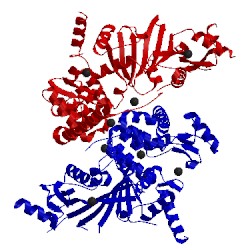 Image of CATH 5vba