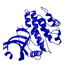 Image of CATH 5vc6