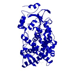 Image of CATH 5vcd